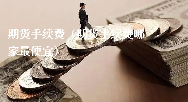 期货手续费（期货手续费哪家最便宜）_https://www.xyskdbj.com_期货学院_第1张