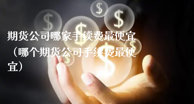 期货公司哪家手续费最便宜（哪个期货公司手续费最便宜）_https://www.xyskdbj.com_期货学院_第1张