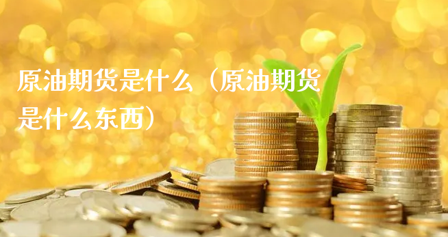 原油期货是什么（原油期货是什么东西）_https://www.xyskdbj.com_期货学院_第1张