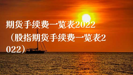 期货手续费一览表2022（股指期货手续费一览表2022）_https://www.xyskdbj.com_期货学院_第1张