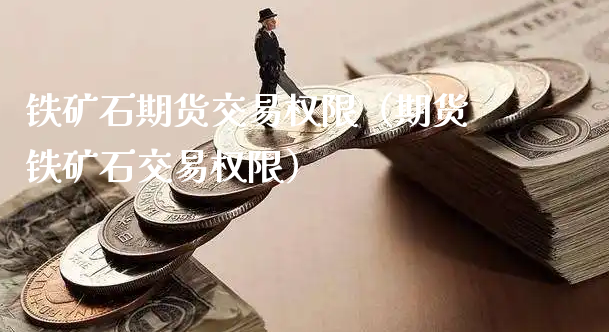 铁矿石期货交易权限（期货铁矿石交易权限）_https://www.xyskdbj.com_期货行情_第1张