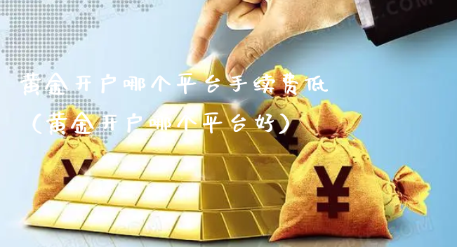 黄金开户哪个平台手续费低（黄金开户哪个平台好）_https://www.xyskdbj.com_期货平台_第1张