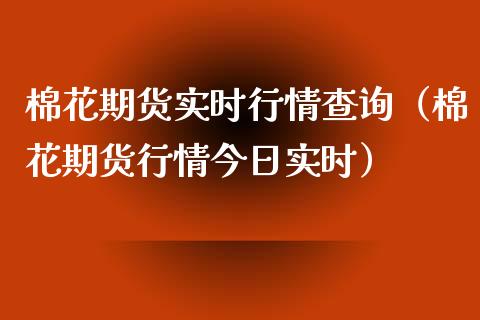 棉花期货实时行情查询（棉花期货行情今日实时）_https://www.xyskdbj.com_期货学院_第1张