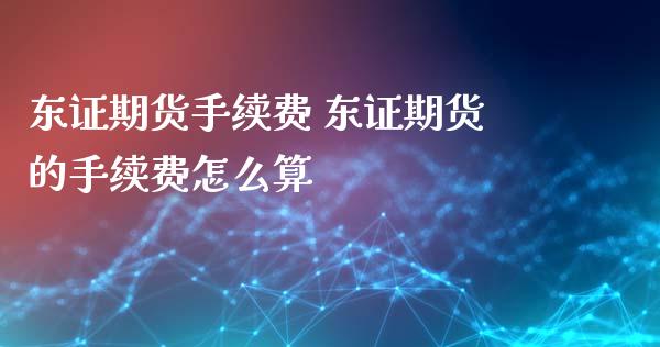 东证期货手续费 东证期货的手续费怎么算_https://www.xyskdbj.com_期货学院_第1张