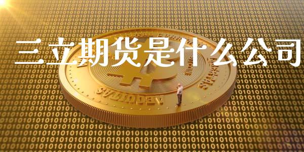 三立期货是什么公司_https://www.xyskdbj.com_期货学院_第1张