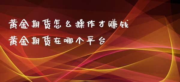 黄金期货怎么操作才赚钱 黄金期货在哪个平台_https://www.xyskdbj.com_原油行情_第1张