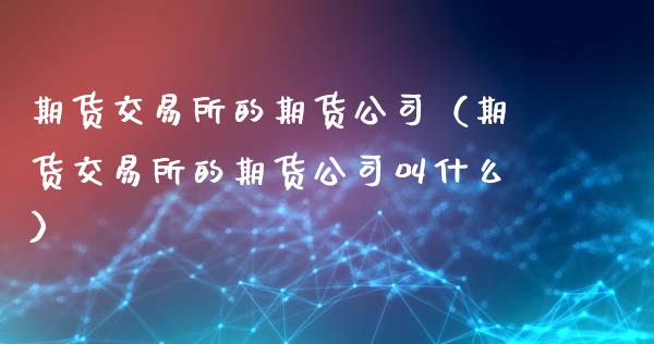 期货交易所的期货公司（期货交易所的期货公司叫什么）_https://www.xyskdbj.com_期货学院_第1张