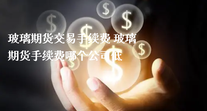 玻璃期货交易手续费 玻璃期货手续费哪个公司低_https://www.xyskdbj.com_期货平台_第1张