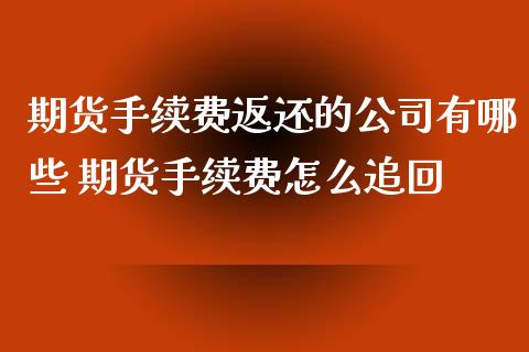 期货手续费返还的公司有哪些 期货手续费怎么追回_https://www.xyskdbj.com_期货学院_第1张