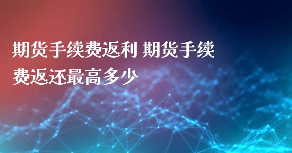 期货手续费返利 期货手续费返还最高多少_https://www.xyskdbj.com_原油行情_第1张