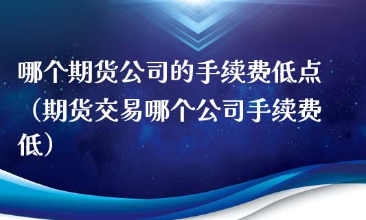 哪个期货公司的手续费低点（期货交易哪个公司手续费低）_https://www.xyskdbj.com_期货平台_第1张