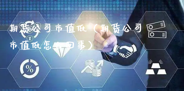 期货公司市值低（期货公司市值低怎么回事）_https://www.xyskdbj.com_期货手续费_第1张