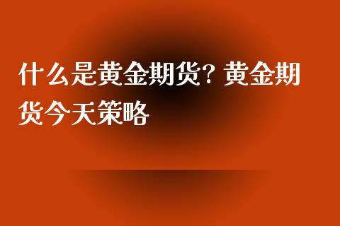 什么是黄金期货? 黄金期货今天策略_https://www.xyskdbj.com_原油直播_第1张