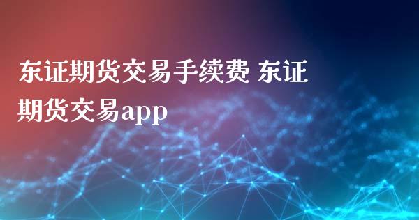 东证期货交易手续费 东证期货交易app_https://www.xyskdbj.com_期货学院_第1张