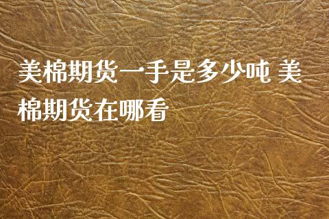 美棉期货一手是多少吨 美棉期货在哪看_https://www.xyskdbj.com_原油行情_第1张