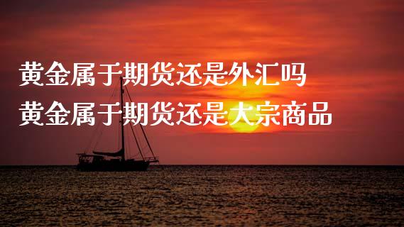 黄金属于期货还是外汇吗 黄金属于期货还是大宗商品_https://www.xyskdbj.com_期货学院_第1张