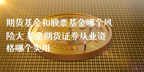 期货基金和股票基金哪个风险大 基金期货证券从业资格哪个实用_https://www.xyskdbj.com_期货行情_第1张