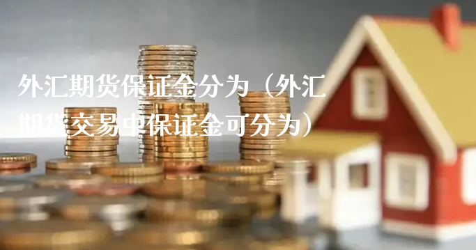 外汇期货保证金分为（外汇期货交易中保证金可分为）_https://www.xyskdbj.com_期货学院_第1张