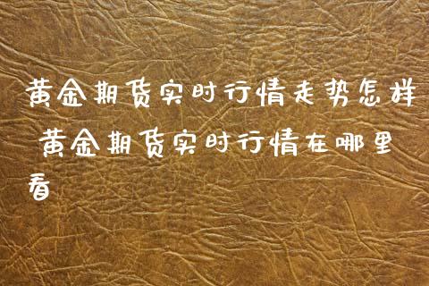 黄金期货实时行情走势怎样 黄金期货实时行情在哪里看_https://www.xyskdbj.com_原油行情_第1张