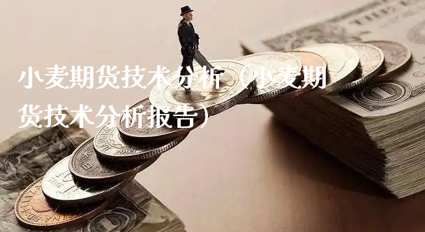 小麦期货技术分析（小麦期货技术分析报告）_https://www.xyskdbj.com_期货学院_第1张