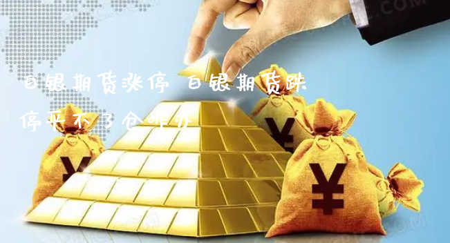 白银期货涨停 白银期货跌停平不了仓咋办_https://www.xyskdbj.com_期货学院_第1张