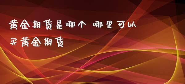 黄金期货是哪个 哪里可以买黄金期货_https://www.xyskdbj.com_期货学院_第1张