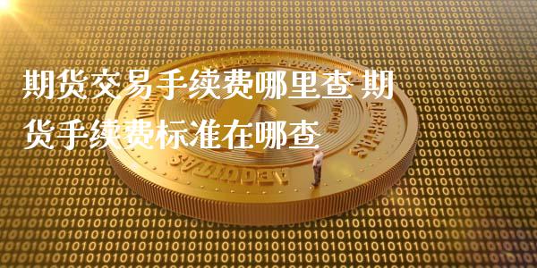 期货交易手续费哪里查 期货手续费标准在哪查_https://www.xyskdbj.com_原油直播_第1张