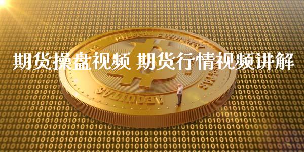 期货操盘视频 期货行情视频讲解_https://www.xyskdbj.com_期货学院_第1张