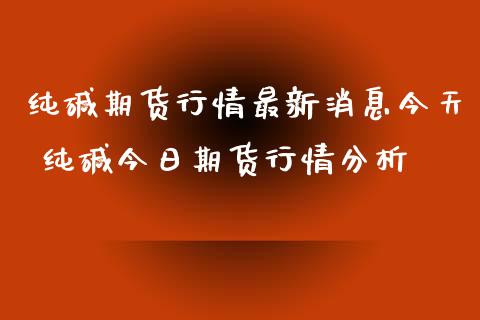 纯碱期货行情最新消息今天 纯碱今日期货行情分析_https://www.xyskdbj.com_期货学院_第1张