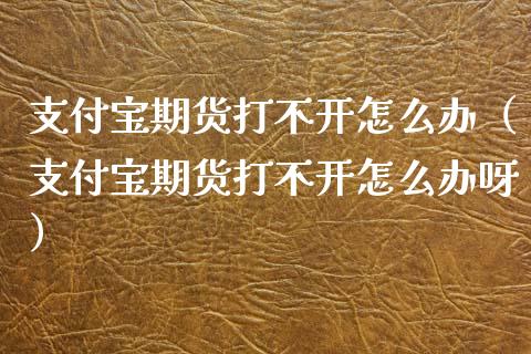 支付宝期货打不开怎么办（支付宝期货打不开怎么办呀）_https://www.xyskdbj.com_期货行情_第1张