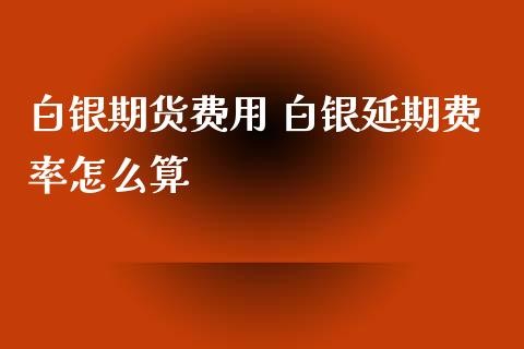 白银期货费用 白银延期费率怎么算_https://www.xyskdbj.com_原油直播_第1张