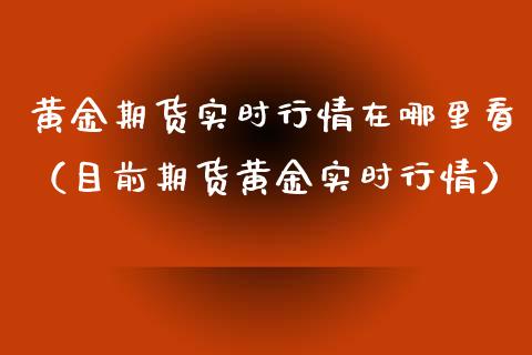 黄金期货实时行情在哪里看（目前期货黄金实时行情）_https://www.xyskdbj.com_期货平台_第1张