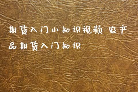 期货入门小知识视频 农产品期货入门知识_https://www.xyskdbj.com_期货学院_第1张