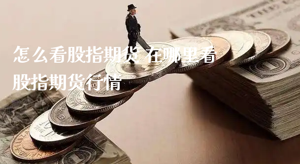 怎么看股指期货 在哪里看股指期货行情_https://www.xyskdbj.com_期货行情_第1张