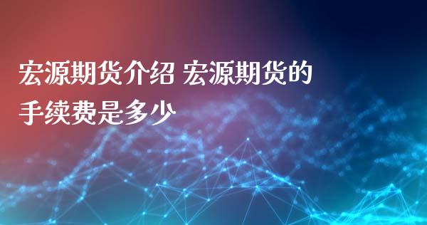 宏源期货介绍 宏源期货的手续费是多少_https://www.xyskdbj.com_期货行情_第1张