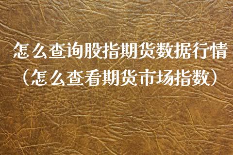 怎么查询股指期货数据行情（怎么查看期货市场指数）_https://www.xyskdbj.com_期货平台_第1张