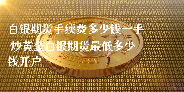 白银期货手续费多少钱一手 炒黄金白银期货最低多少钱开户_https://www.xyskdbj.com_期货行情_第1张