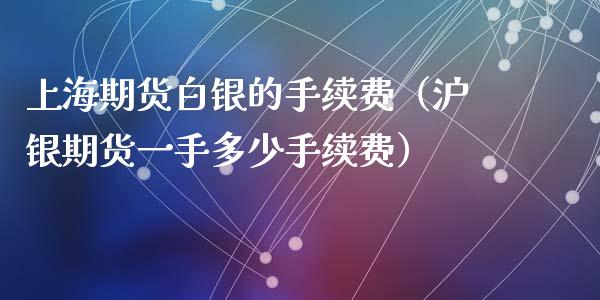 上海期货白银的手续费（沪银期货一手多少手续费）_https://www.xyskdbj.com_原油直播_第1张