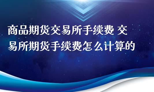 商品期货交易所手续费 交易所期货手续费怎么计算的_https://www.xyskdbj.com_期货学院_第1张