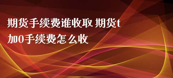 期货手续费谁收取 期货t加0手续费怎么收_https://www.xyskdbj.com_期货手续费_第1张