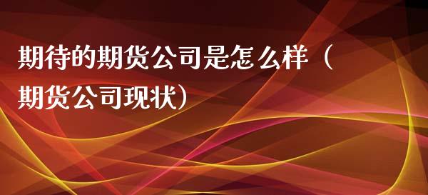 期待的期货公司是怎么样（期货公司现状）_https://www.xyskdbj.com_期货行情_第1张