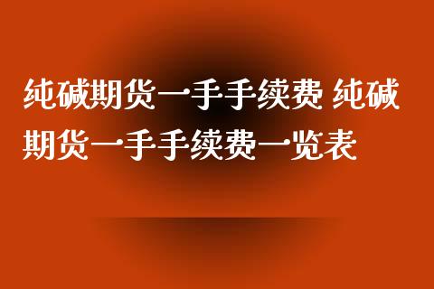 纯碱期货一手手续费 纯碱期货一手手续费一览表_https://www.xyskdbj.com_期货学院_第1张