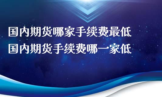 国内期货哪家手续费最低 国内期货手续费哪一家低_https://www.xyskdbj.com_期货学院_第1张