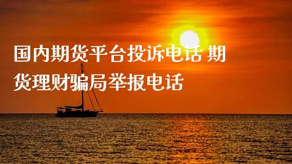 国内期货平台投诉电话 期货理财骗局举报电话_https://www.xyskdbj.com_期货学院_第1张