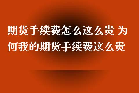 期货手续费怎么这么贵 为何我的期货手续费这么贵_https://www.xyskdbj.com_期货学院_第1张