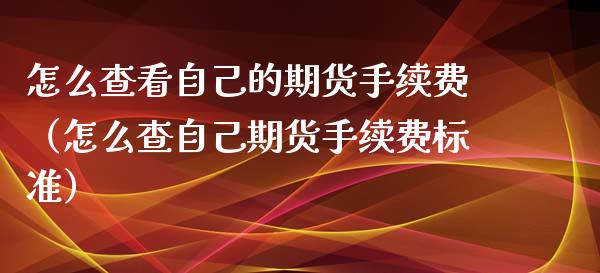 怎么查看自己的期货手续费（怎么查自己期货手续费标准）_https://www.xyskdbj.com_期货平台_第1张