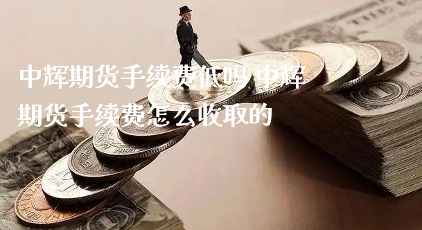 中辉期货手续费低吗 中辉期货手续费怎么收取的_https://www.xyskdbj.com_期货平台_第1张