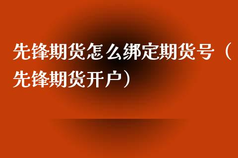 先锋期货怎么绑定期货号（先锋期货开户）_https://www.xyskdbj.com_期货行情_第1张