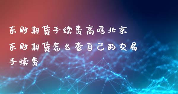 东财期货手续费高吗北京 东财期货怎么查自己的交易手续费_https://www.xyskdbj.com_期货学院_第1张