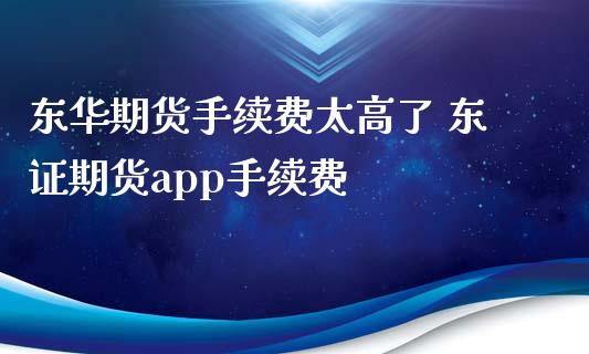 东华期货手续费太高了 东证期货app手续费_https://www.xyskdbj.com_期货平台_第1张